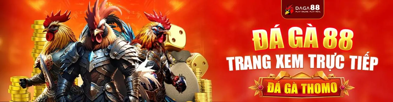 Đá Gà Trực Tuyến kịch tính tại king33 nhà cái