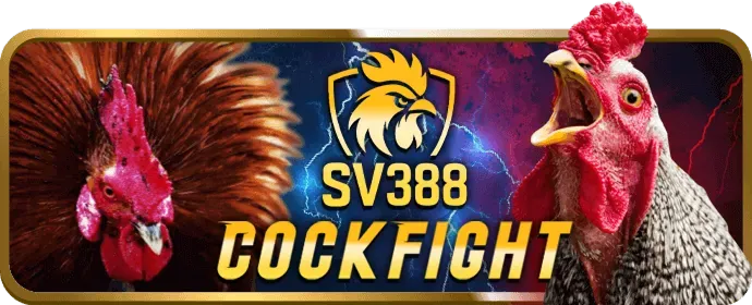 Cấp độ VIP Kim Cương king33 nhà cái